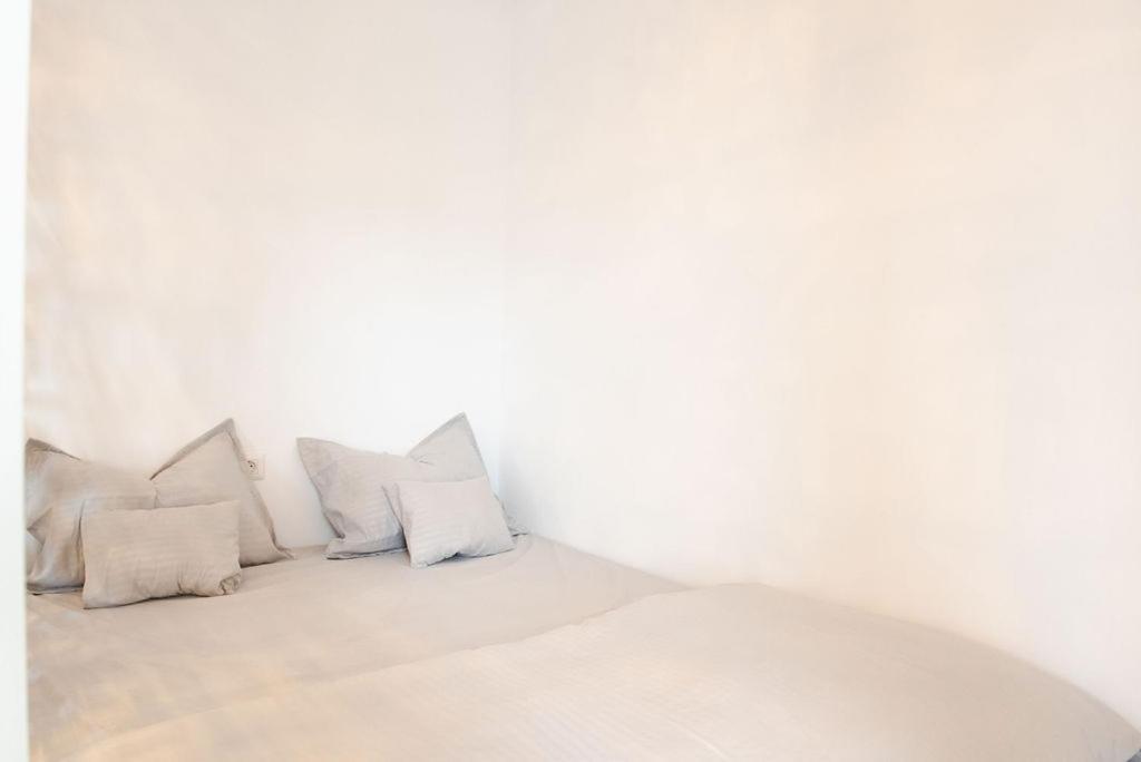 Alternativ 1 Residence 티미쇼아라 외부 사진